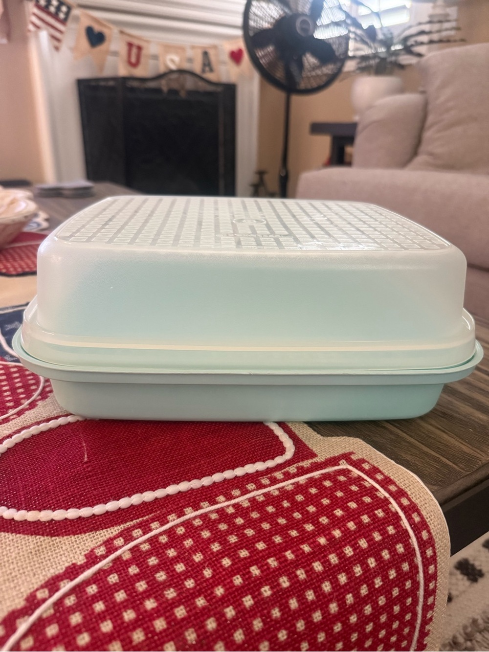 Vintage Tupperware Marinade Container w/ Lid Meat Tenderizer Mint green